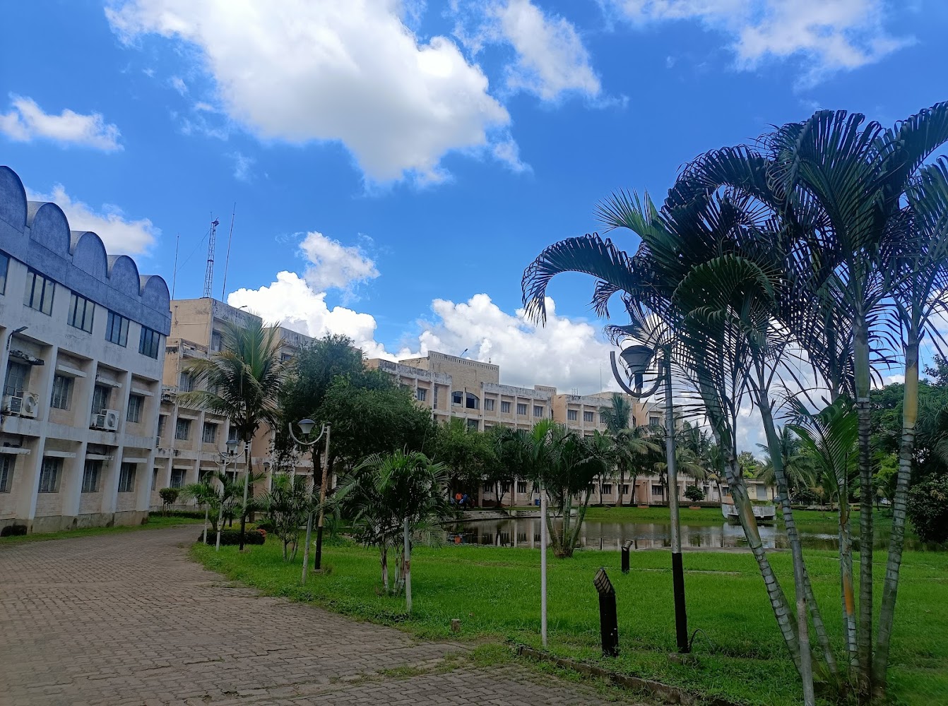 NSHM Knowledge Campus buildings surrounded by palms and a central pond
